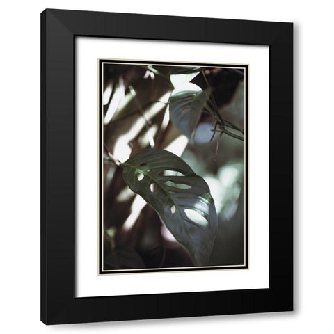 Monstrea Leaves Nature_1 Black Modern Wood Framed Art Print with Double Matting by 1x Studio III