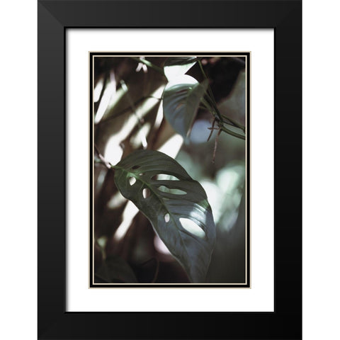 Monstrea Leaves Nature_1 Black Modern Wood Framed Art Print with Double Matting by 1x Studio III