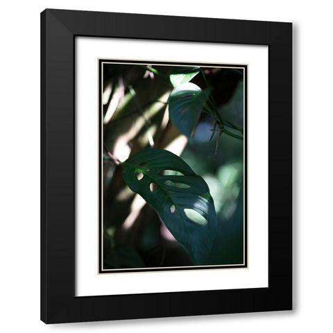 Monstrea Leaves Nature_2 Black Modern Wood Framed Art Print with Double Matting by 1x Studio III