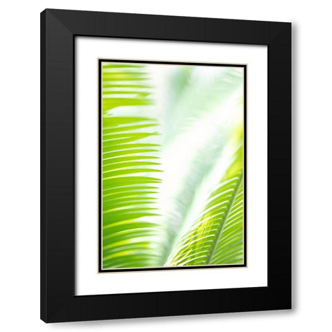 Light Palm tree leaves_1 Black Modern Wood Framed Art Print with Double Matting by 1x Studio III