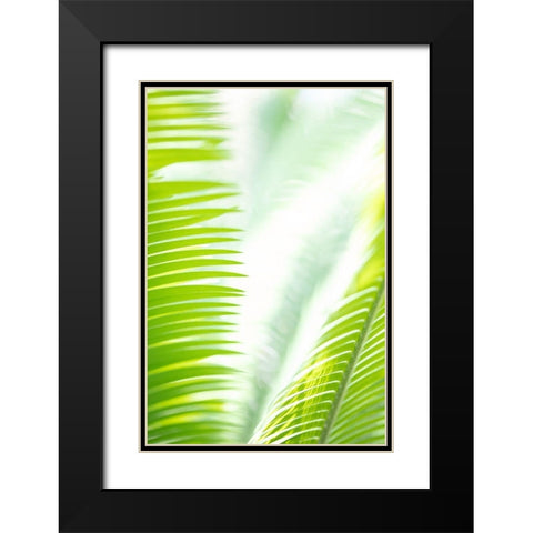 Light Palm tree leaves_1 Black Modern Wood Framed Art Print with Double Matting by 1x Studio III