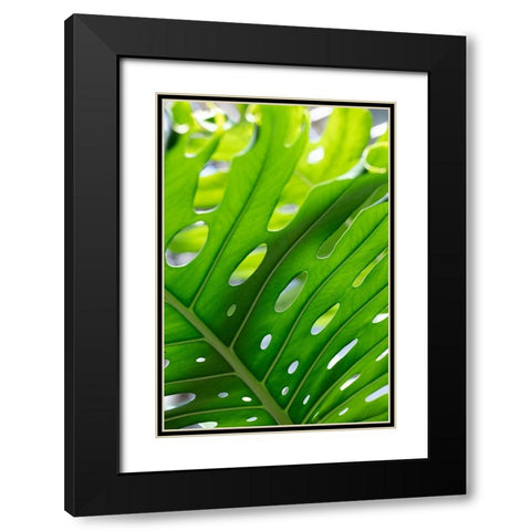 Graphic Leaf_1 Black Modern Wood Framed Art Print with Double Matting by 1x Studio III