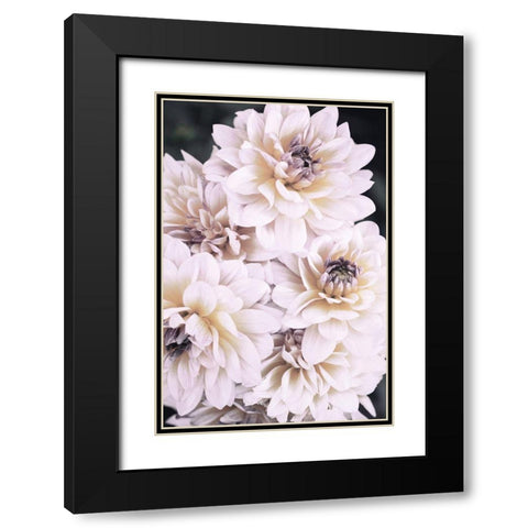 Pinkish Flowers Black Modern Wood Framed Art Print with Double Matting by 1x Studio III