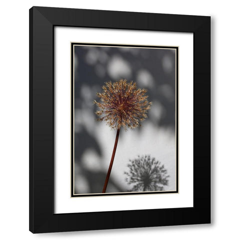 Withered flower-seed house_1 Black Modern Wood Framed Art Print with Double Matting by 1x Studio III