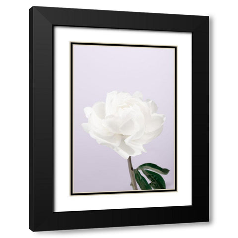 Peony_3 Black Modern Wood Framed Art Print with Double Matting by 1x Studio III