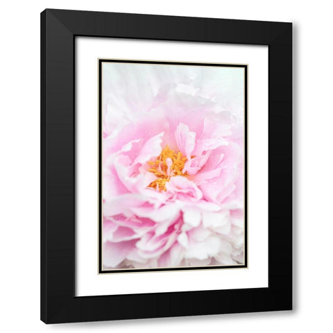 Peony_6 Black Modern Wood Framed Art Print with Double Matting by 1x Studio III