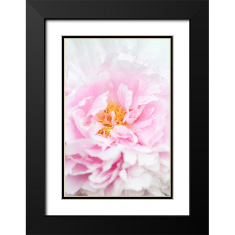 Peony_6 Black Modern Wood Framed Art Print with Double Matting by 1x Studio III