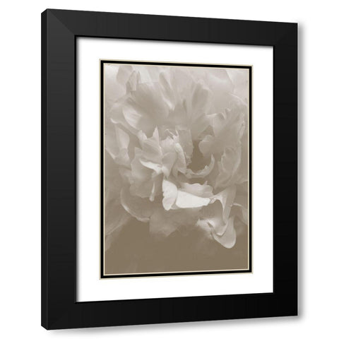Peony_9 Black Modern Wood Framed Art Print with Double Matting by 1x Studio III