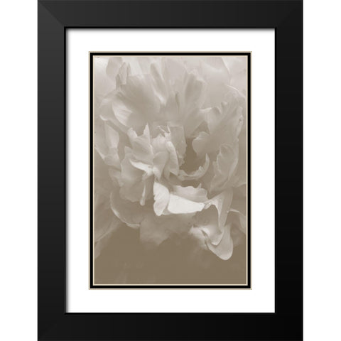 Peony_9 Black Modern Wood Framed Art Print with Double Matting by 1x Studio III