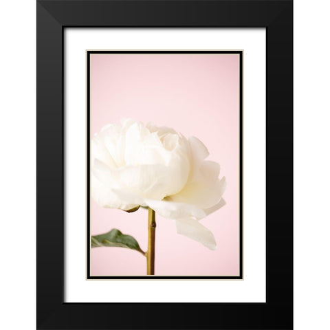 Peony_12 Black Modern Wood Framed Art Print with Double Matting by 1x Studio III
