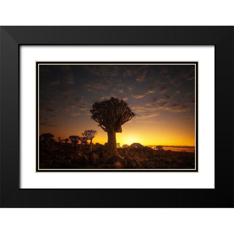 At Sunrise 7R45806 Black Modern Wood Framed Art Print with Double Matting by Joanaduenas