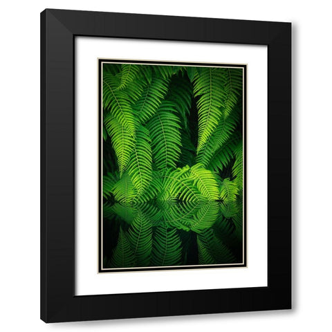Beauty In Nature Black Modern Wood Framed Art Print with Double Matting by Mitamura, Takeshi