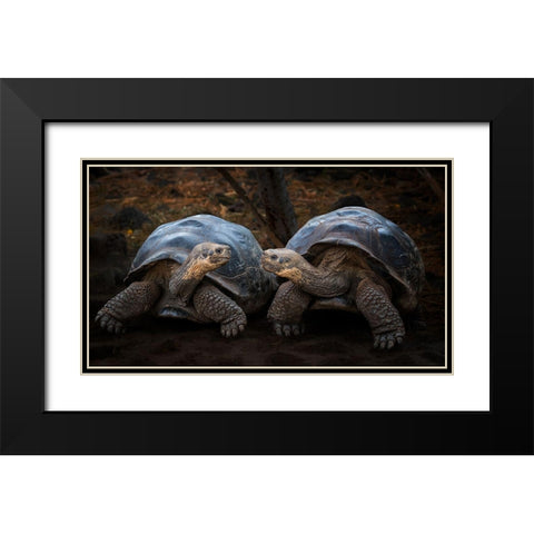 Connection Black Modern Wood Framed Art Print with Double Matting by And Wei, Siyu