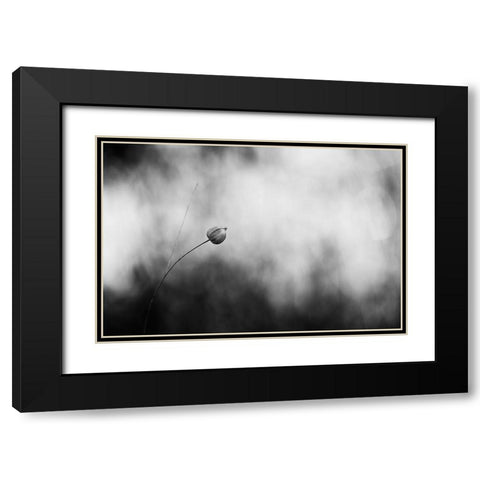 Flax After Flowering Black Modern Wood Framed Art Print with Double Matting by Gronkjar, Lotte