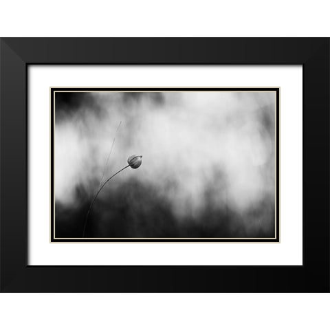 Flax After Flowering Black Modern Wood Framed Art Print with Double Matting by Gronkjar, Lotte