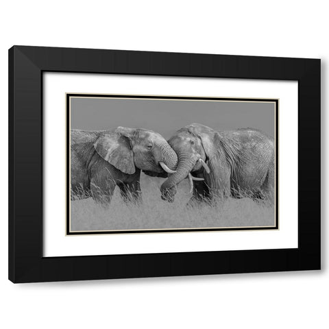 Elephant Flight Black Modern Wood Framed Art Print with Double Matting by Zuo, Jun