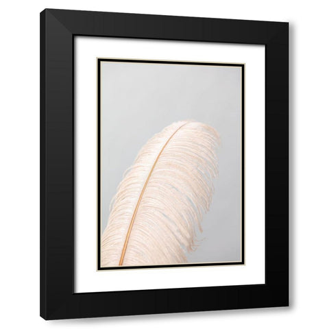 Feather_1 Black Modern Wood Framed Art Print with Double Matting by 1x Studio III
