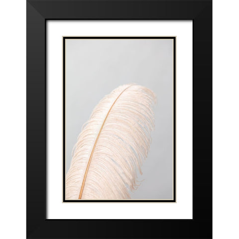 Feather_1 Black Modern Wood Framed Art Print with Double Matting by 1x Studio III