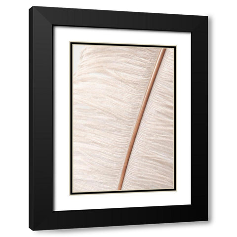 Feather_2 Black Modern Wood Framed Art Print with Double Matting by 1x Studio III