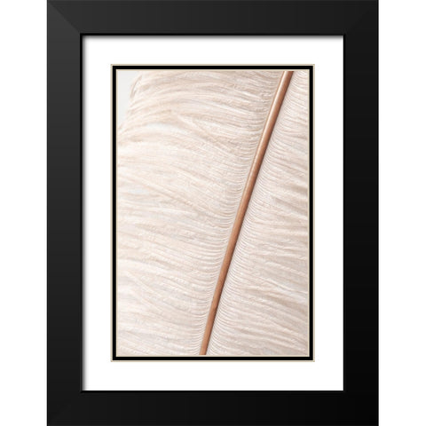 Feather_2 Black Modern Wood Framed Art Print with Double Matting by 1x Studio III