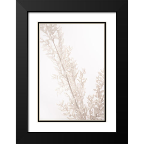 Dried Straws Black Modern Wood Framed Art Print with Double Matting by 1x Studio III