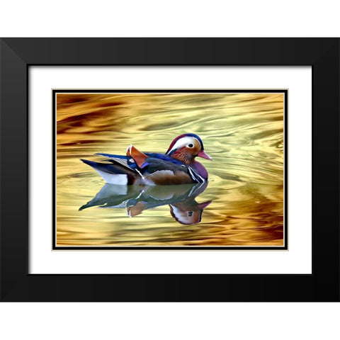 Golden Black Modern Wood Framed Art Print with Double Matting by Bencic, Bojan