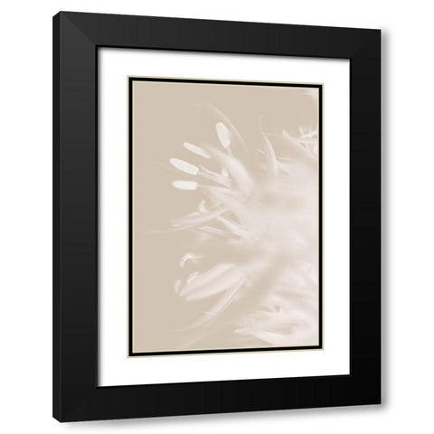 Flower Beige_1 Black Modern Wood Framed Art Print with Double Matting by 1x Studio III