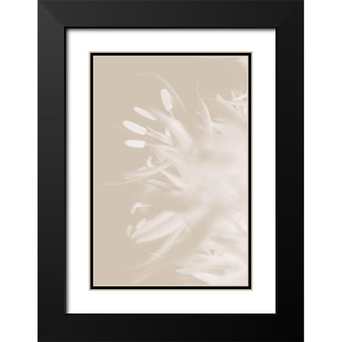 Flower Beige_1 Black Modern Wood Framed Art Print with Double Matting by 1x Studio III