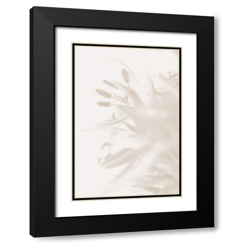 FLOWER BEIGE_2 Black Modern Wood Framed Art Print with Double Matting by 1x Studio III