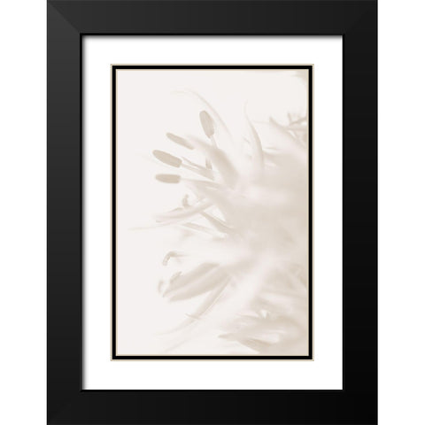 FLOWER BEIGE_2 Black Modern Wood Framed Art Print with Double Matting by 1x Studio III