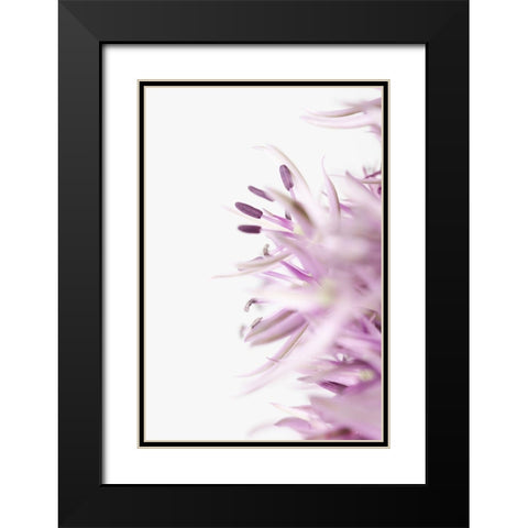 FLOWER PURPLE Black Modern Wood Framed Art Print with Double Matting by 1x Studio III