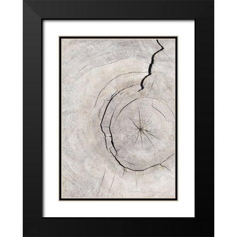 Pattern_Wood_2 Black Modern Wood Framed Art Print with Double Matting by 1x Studio III