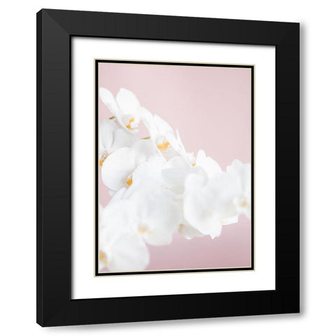 Orchid_1 Black Modern Wood Framed Art Print with Double Matting by 1x Studio III