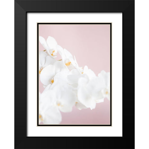 Orchid_1 Black Modern Wood Framed Art Print with Double Matting by 1x Studio III