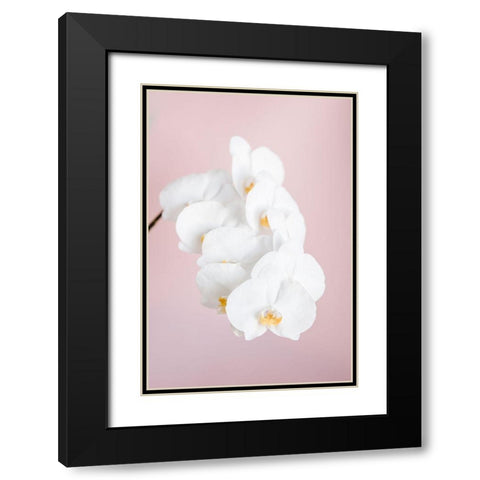 Orchid_2 Black Modern Wood Framed Art Print with Double Matting by 1x Studio III