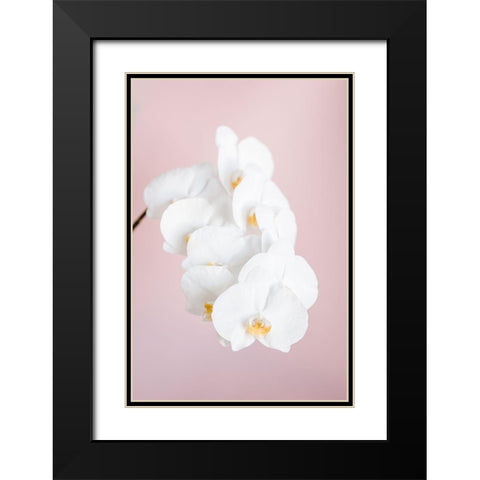 Orchid_2 Black Modern Wood Framed Art Print with Double Matting by 1x Studio III