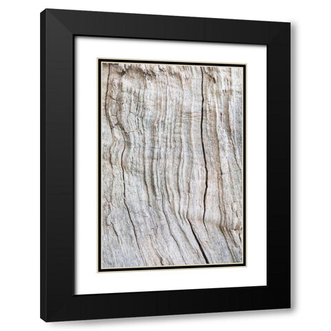 Wood Pattern Black Modern Wood Framed Art Print with Double Matting by 1x Studio III