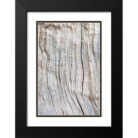 Wood Pattern Black Modern Wood Framed Art Print with Double Matting by 1x Studio III