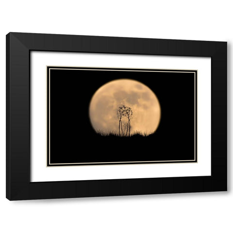 Look at the moon! Black Modern Wood Framed Art Print with Double Matting by Bar Or, Eyal