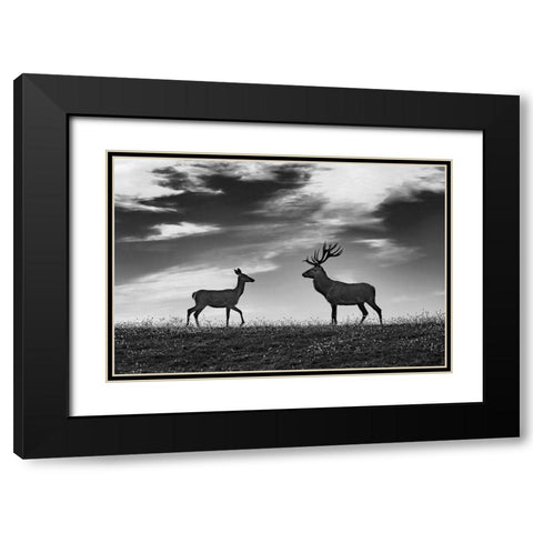 Meeting Black Modern Wood Framed Art Print with Double Matting by Kravanja, Jure