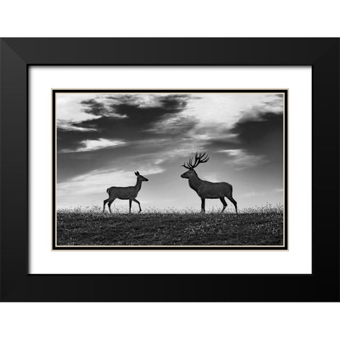 Meeting Black Modern Wood Framed Art Print with Double Matting by Kravanja, Jure