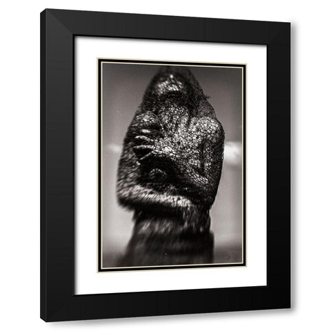 Cocoon Black Modern Wood Framed Art Print with Double Matting by Bousca, Bogdan