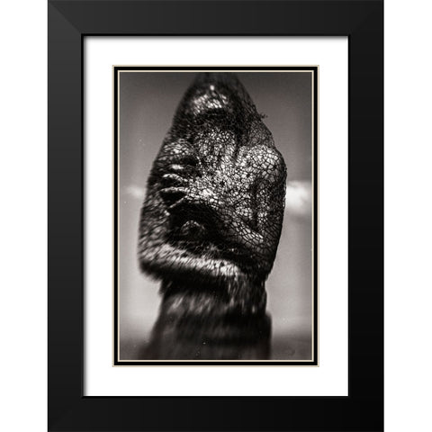 Cocoon Black Modern Wood Framed Art Print with Double Matting by Bousca, Bogdan
