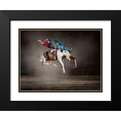 Buckjumping Black Modern Wood Framed Art Print with Double Matting by Ma, Frank