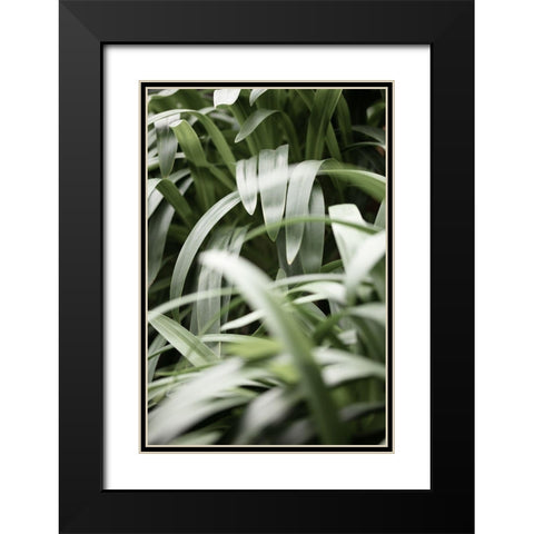 Green Leaves Black Modern Wood Framed Art Print with Double Matting by 1x Studio III