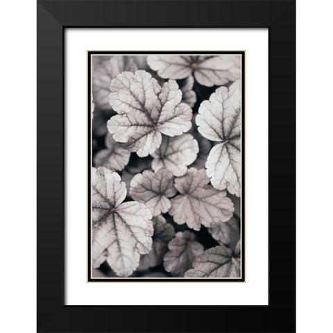 Gray-Pink Leaves Black Modern Wood Framed Art Print with Double Matting by 1x Studio III