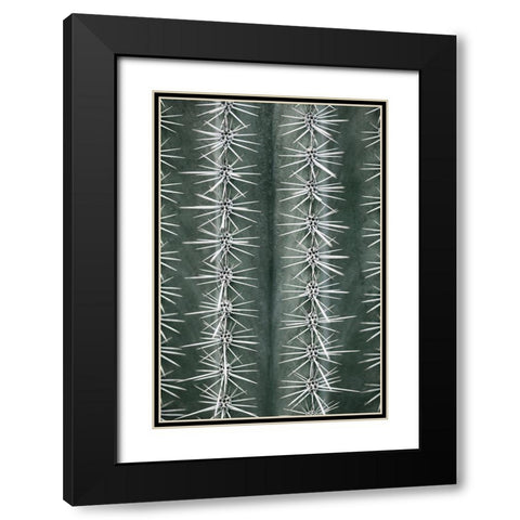 Cactus Green Black Modern Wood Framed Art Print with Double Matting by 1x Studio III