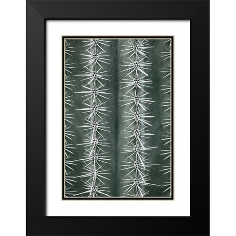 Cactus Green Black Modern Wood Framed Art Print with Double Matting by 1x Studio III
