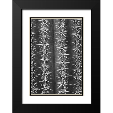 Cactus black and white Black Modern Wood Framed Art Print with Double Matting by 1x Studio III
