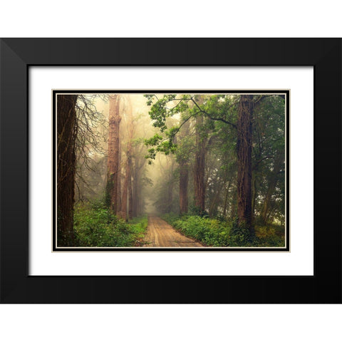 After Summer Black Modern Wood Framed Art Print with Double Matting by Van Dongen, Anton